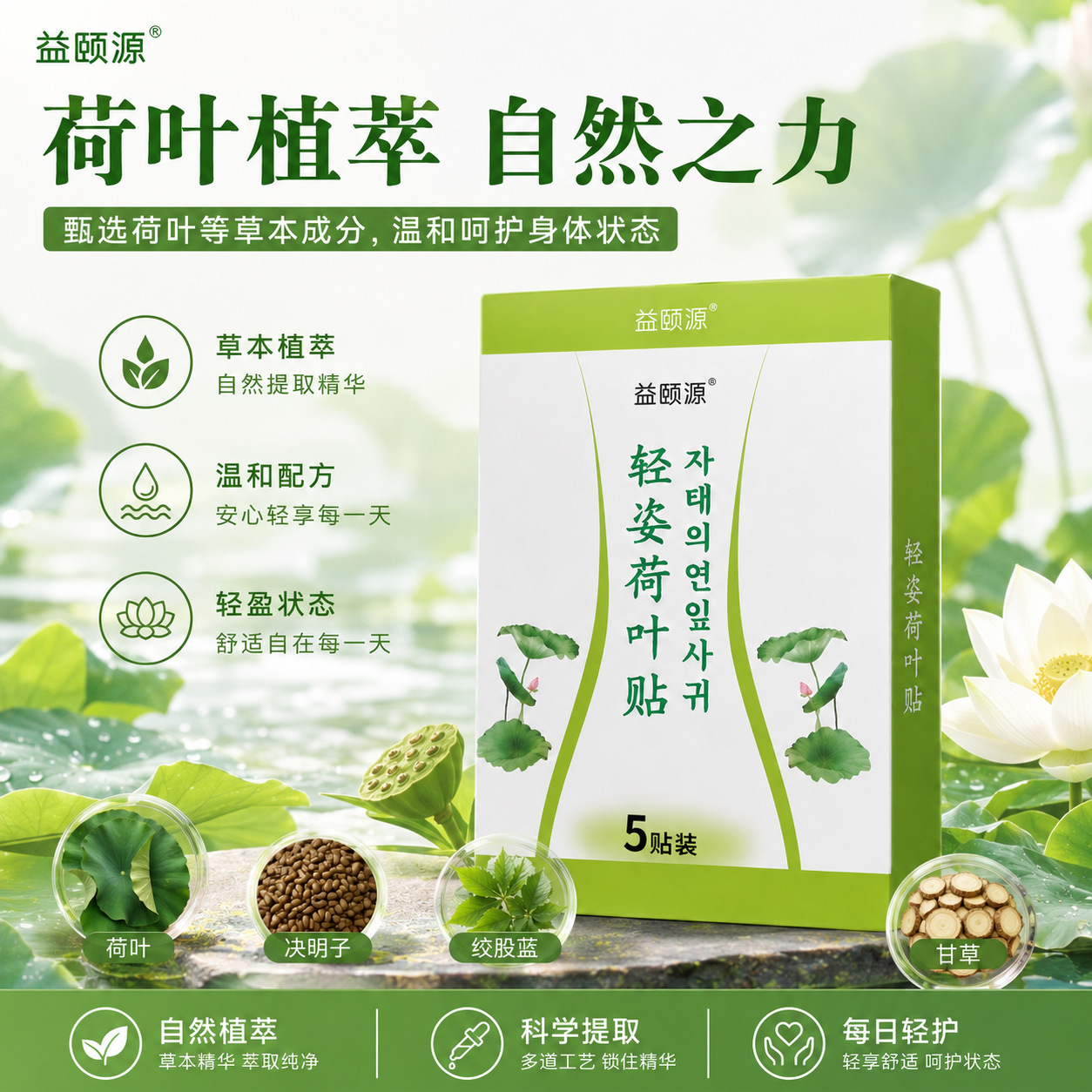 Lotus Leaf and Mugwort Navel Patch 5 Piece Pack External Herbal Body Patch for Wellness Massage - Image 4
