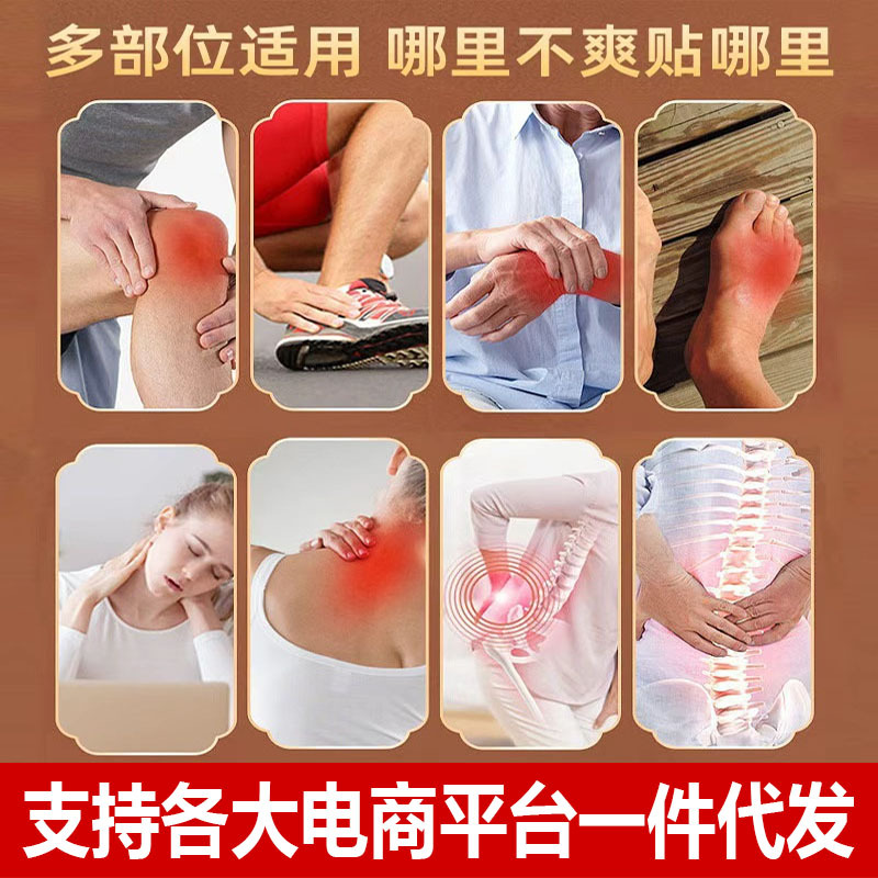 Tuowang Tougu Pain Relief Herbal Patch for Neck and Lower Back Support 7cm x 10cm 8 Patches - Image 2