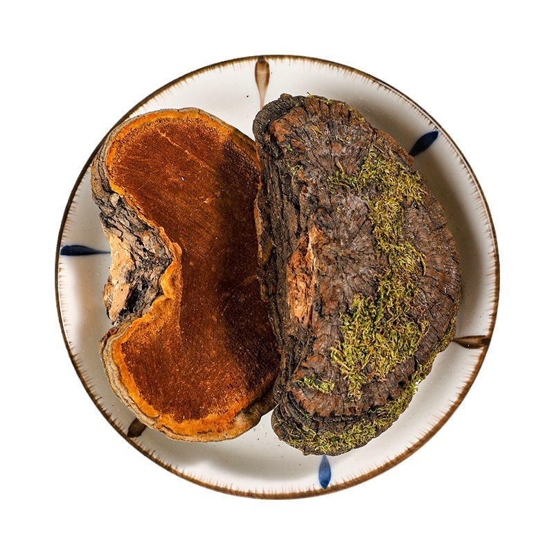 Sang Huang (Sanghuangporus sanghuang) — Wild-Grown Tibetan Medicinal Mushroom, Sulfur-Free, Custom Milling - Image 5