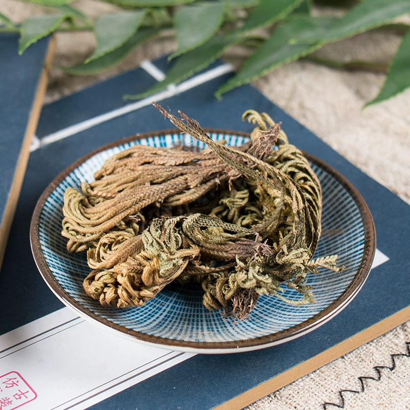 Dried Selaginella Whole Herb Juan Bai Cuan 500g Traditional TCM Botanical - Image 4