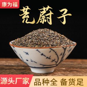 Chong Wei Zi (Leonurus japonicus) — Dried Motherwort Seeds & Powder, Food Herb