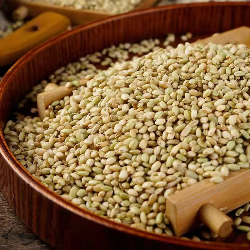 Green Rice & Five Grain Mix (Oryza sativa) — Red Yeast Rice, Black Rice, Red Rice Whole Grains - Image 2