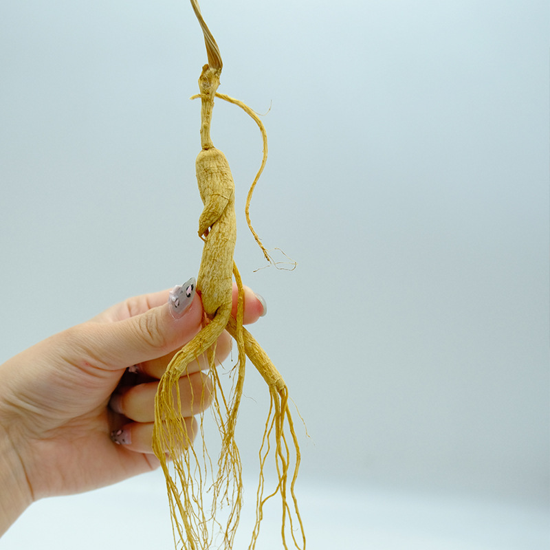 Understory Ginseng Gift Box Changbai Mountain Whole Root for Wine Soaking and Tonic Use - Image 3
