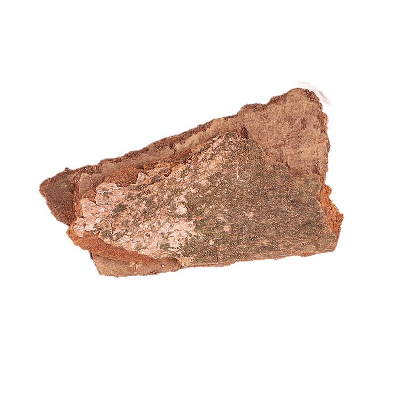 Zhui Di Feng (Illicium difengpi) — Dried TCM Herb for Wind-Damp Support & Custom Grinding - Image 5