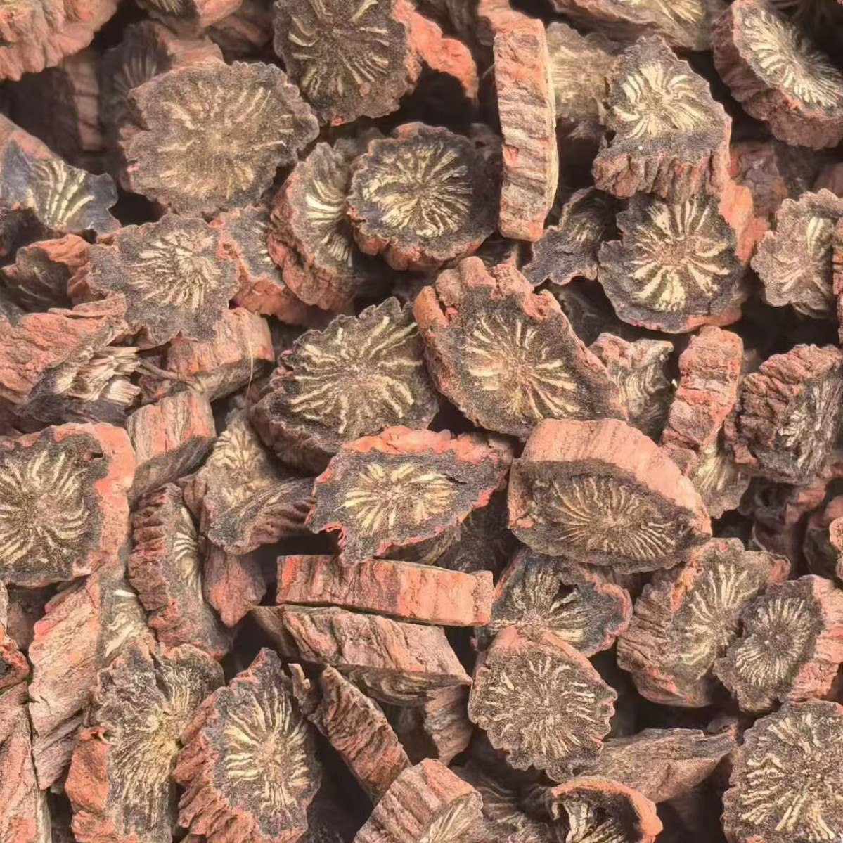 Purple Dan Shen Root Powder Zi Dan Shen Salvia miltiorrhiza Sichuan Source Dried Herb for Decoction and Culinary Use 500g - Image 4