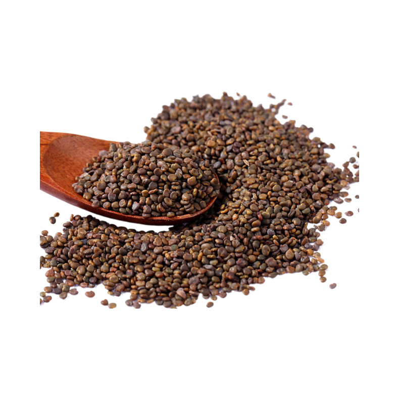 Wild Grade Sha Yuan Zi 250g Flatleaf Milkvetch Seed Astragalus complanatus TCM Herbal Tea Ingredient - Image 5