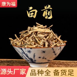 Bai Qian (Cynanchum stauntonii) — Dried Willowleaf Swallowwort Root, Food Herb for Tea & Soup