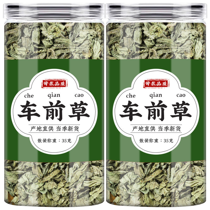 Dried Plantain Herb Che Qian Cao Whole Herb Tea and Decoction Herb 70g Bag - Image 4