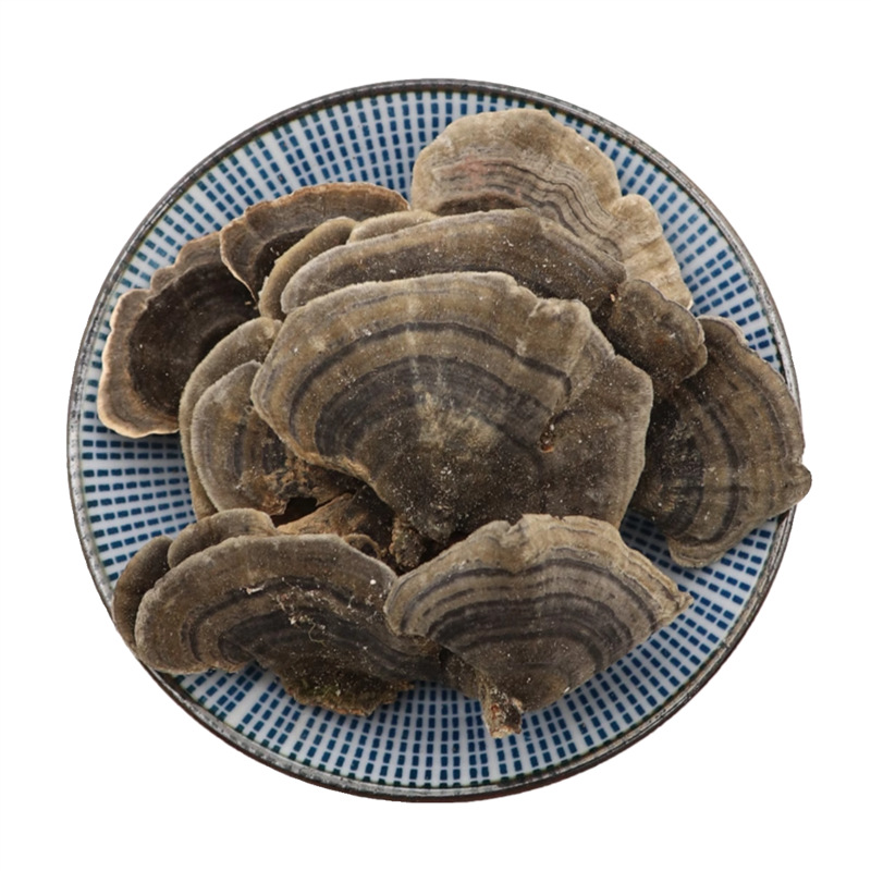 Dried Yun Zhi Coriolus Mushroom 500g Natural Sun Dried Herbal Fungus for Decoction and Tea - Image 5
