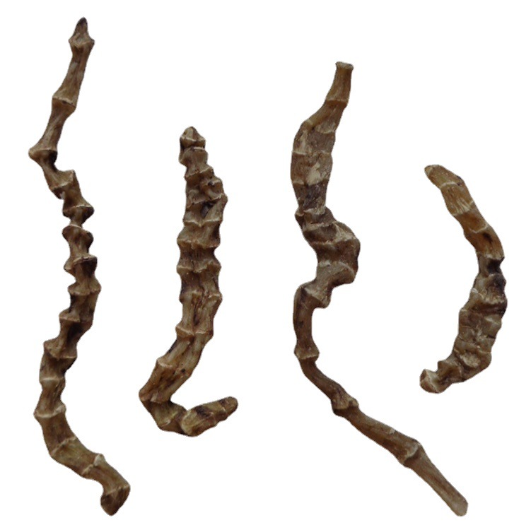 Di Shen / Chong Cao Shen (Stachys affinis) — Yunnan Dried Food Herb, 500g - Image 4