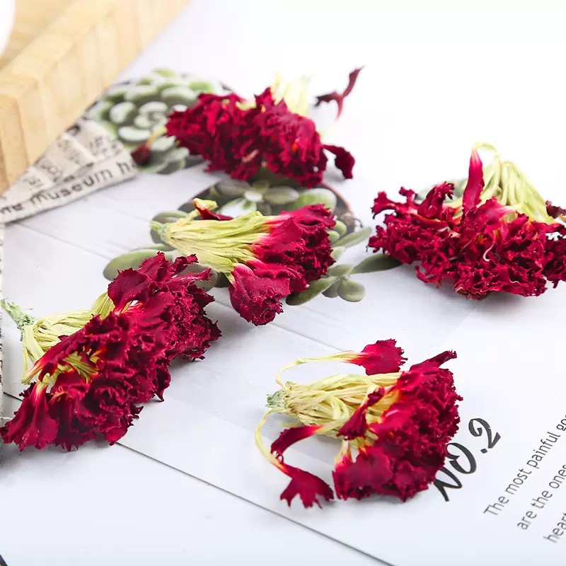 Dried Carnation Flower Tea Kang Nai Xin 500g Yunnan Herbal Floral Tea for Blending and Daily Infusions - Image 3