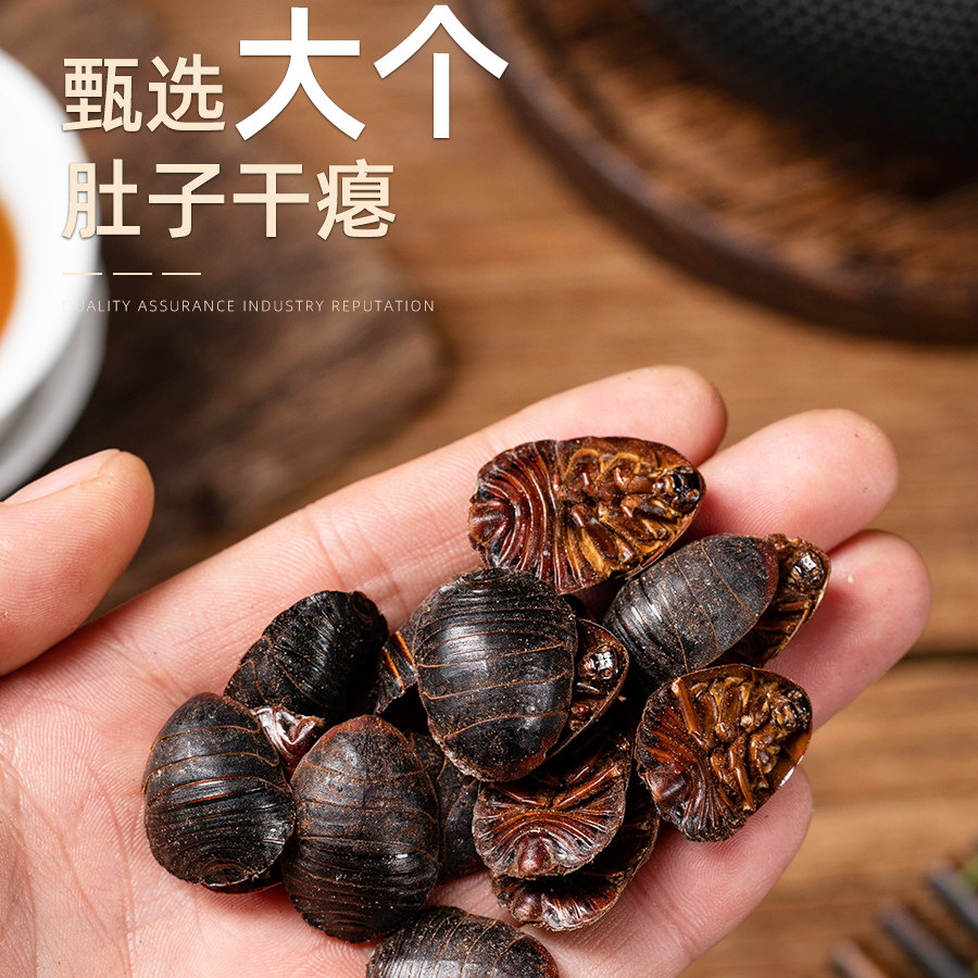 Dried Ground Beetle Tu Yuan 土元 Whole Insect Traditional Chinese Herb 250g - Image 2