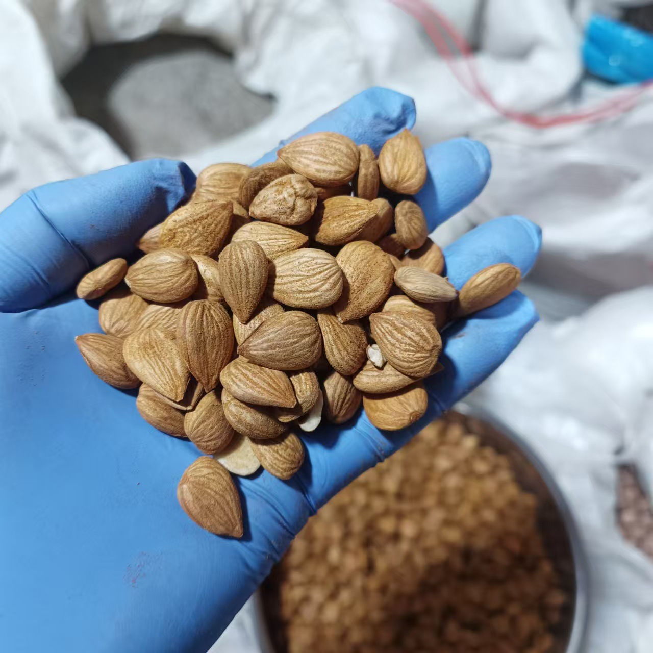 Sweet Almond Raw Shelled Almonds Tian Xing Ren 500g Grade A Natural Nut Snack - Image 4