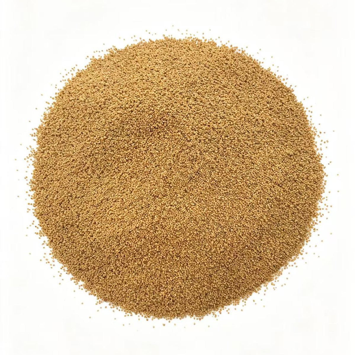 Inner Mongolia Cuscuta Dodder Seed Tu Si Zi Whole Herb Tea 1000g Bag - Image 5