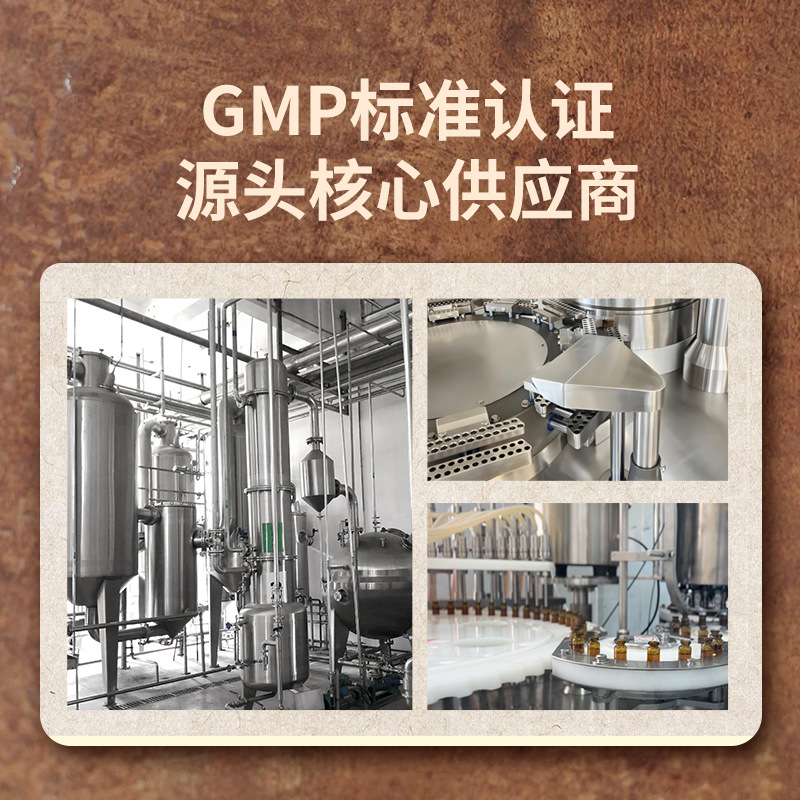 Jiu Zhi Gao (Nine-Constitution Herbal Paste) — Portable TCM Body-Constitution Wellness Paste, 15g × 15 Sachets - Image 2