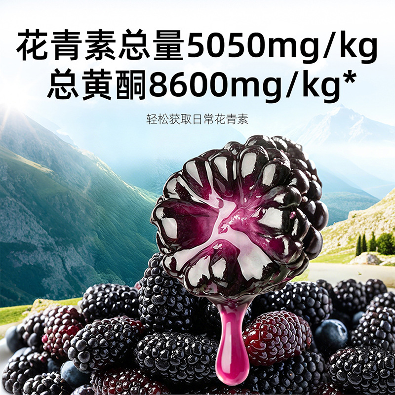 Organic Dried Mulberry Fruit 510g Round Jar Panzhihua Sang Shen Dried Mulberries for Tea and Wine - Image 3