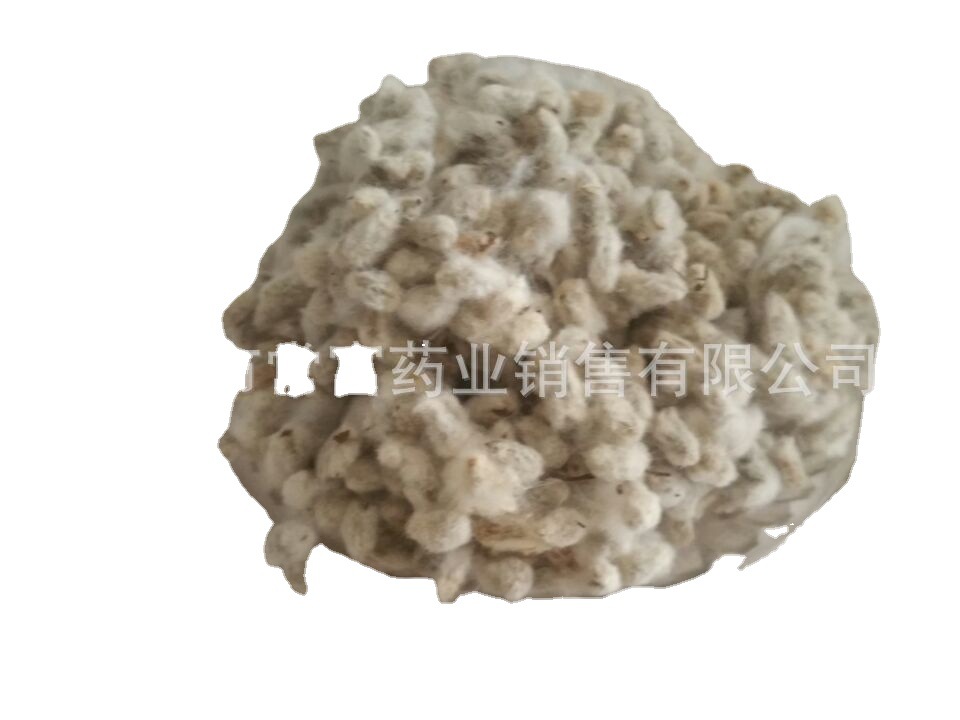 Cotton Seed Mian Zi 500g Dried Whole Seeds for Culinary and Traditional Herbal Use - Image 5