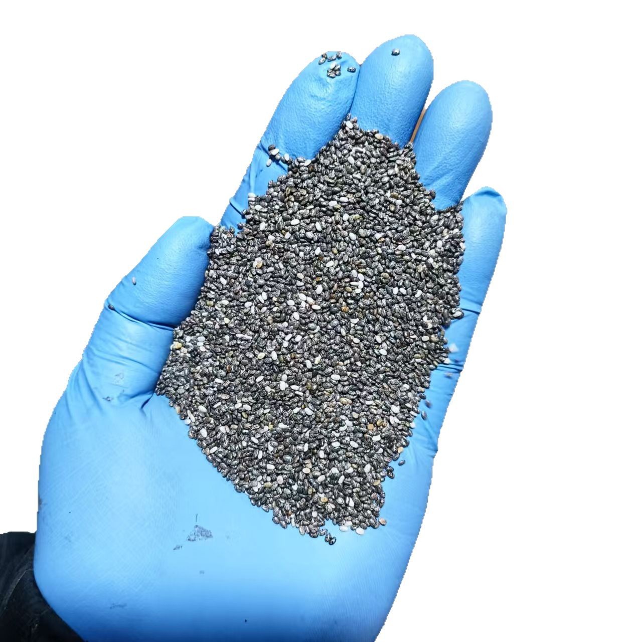 Chia Seed Powder Pure Raw Superfood Meal Replacement 500g Bulk Wholesale - Image 5