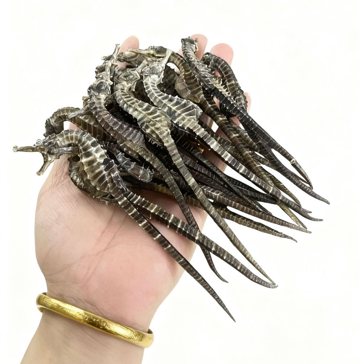Dried Seahorse for Soup and Wine Soaking Traditional Chinese Tonic 0.5-5g Sizes - Image 5
