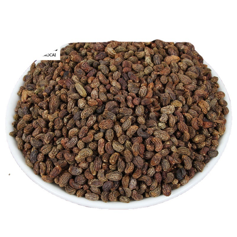 Nǚ Zhēn Zǐ (Ligustrum lucidum) Dried Fruit 500g — Traditional Yin-Nourishing Herb, Pairs with Han Lian Cao & Tu Si Zi - Image 5