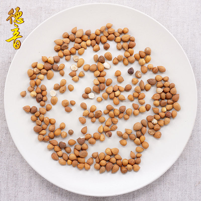 Chinese Bush Cherry Seed Yu Li Ren 郁李仁 Dried Prunus humilis Seeds Traditional TCM Herb Select Grade - Image 4