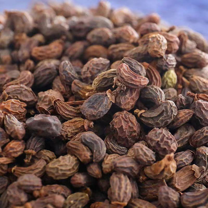 Nuzhenzi Rcong Rong Herbal Blend Dried Ligustrum Fruit and Cistanche Stem Traditional TCM Decoction Herb Bulk Weight - Image 2