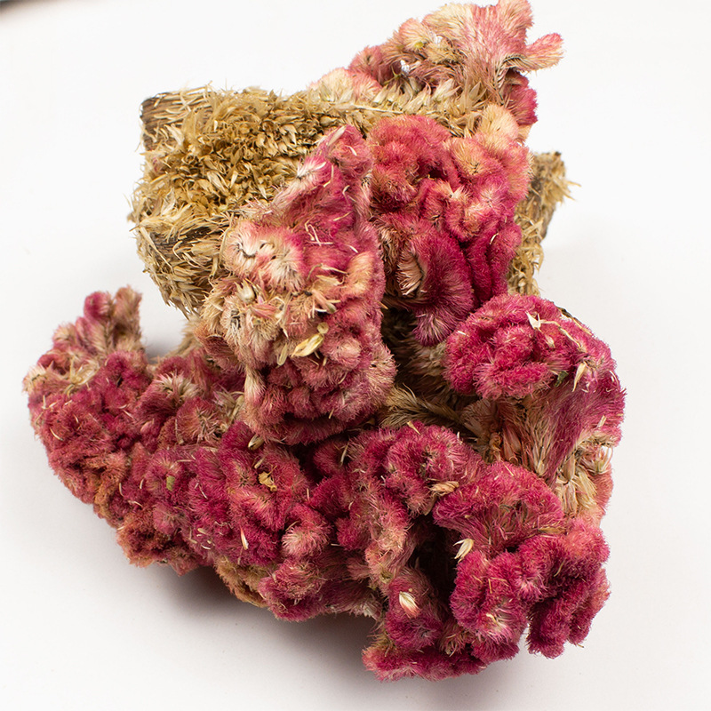 Dried Cockscomb Flower Ji Guan Hua 鸡冠花 Celosia cristata Whole Herb 500g for Herbal Tea and Decoction - Image 3