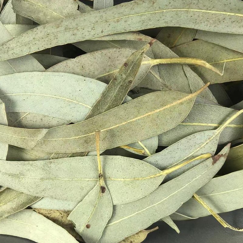 Dried Eucalyptus Leaf Granules An Ye 500g Bulk Herbal Tea Ingredient - Image 3