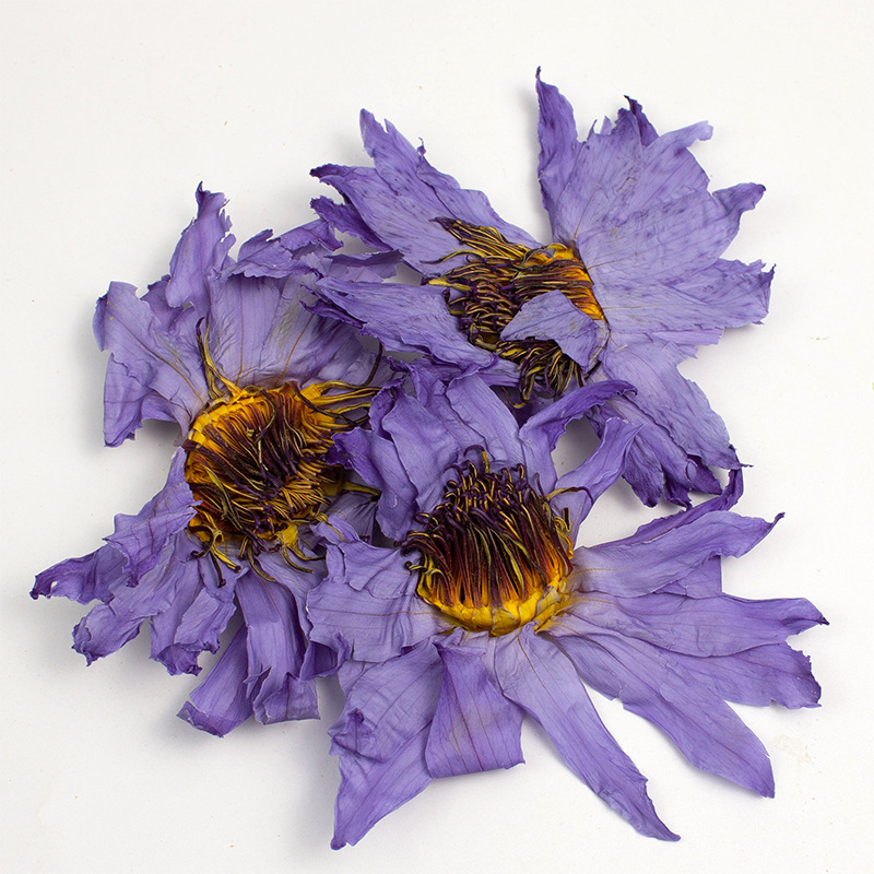 Blue Butterfly Pea Flower 500g Dried Clitoria Ternatea Herbal Tea Ingredient - Image 3