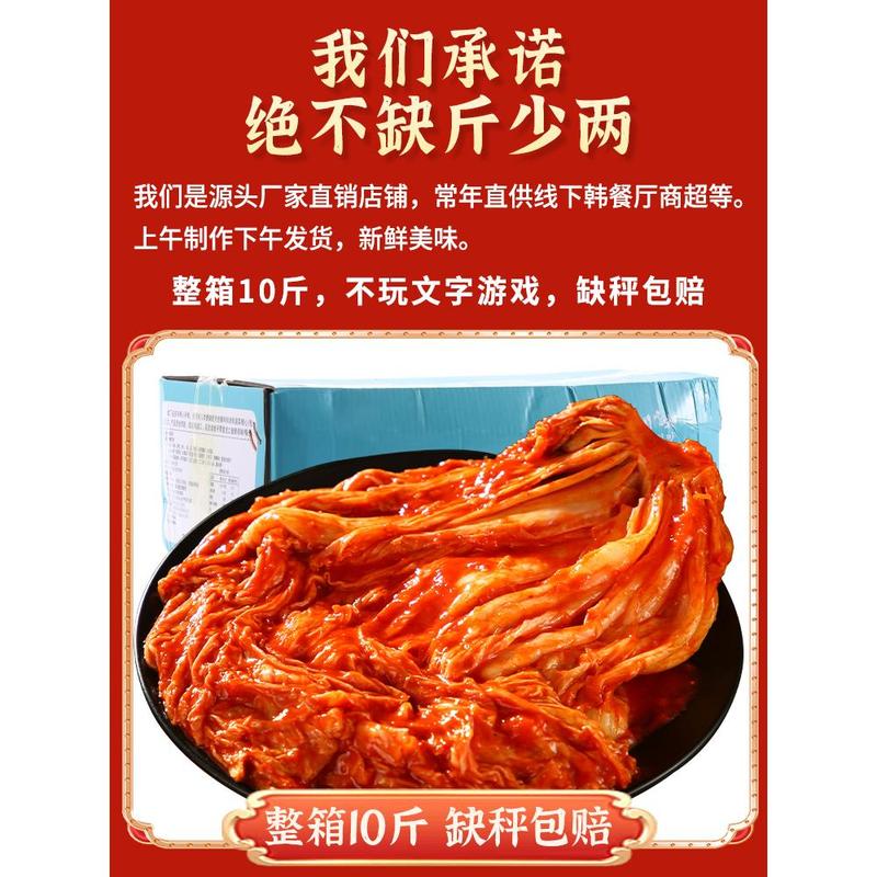 Korean Style Spicy Napa Cabbage Kimchi 500g Pre-Cut Fermented Pickled Cabbage for Rice Noodles and Cooking - Image 3