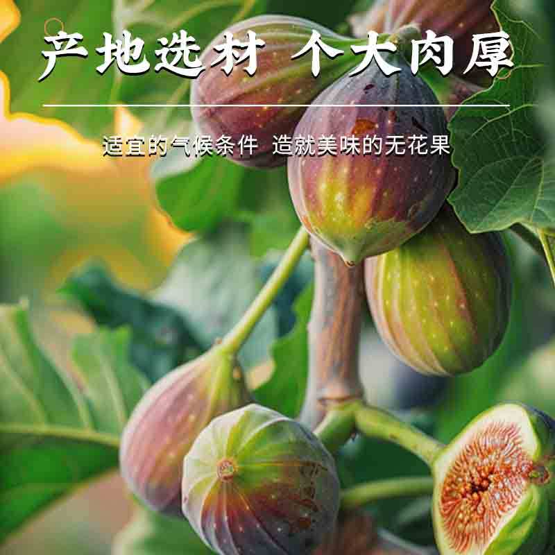 Freeze-Dried Figs Wu Hua Guo Sugar-Free Dried Fruit Snack 100g Bag for Baking and Cake Decoration - Image 2