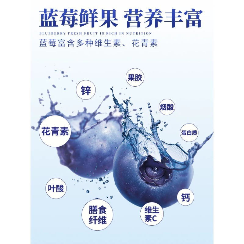 Sea Buckthorn Juice Puree Organic Original 50ml x 10 Bottles Ningxia Fresh Pressed Herbal Drink - Image 4