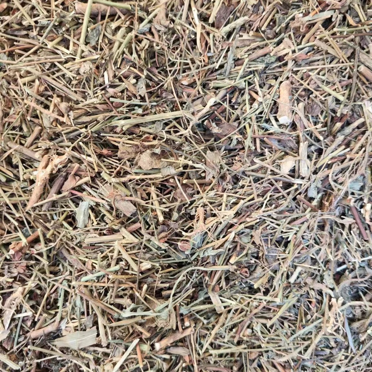 Tian Ji Huang (Hypericum japonicum) — Dried Food Herb, 500g, Custom Grinding Available - Image 3
