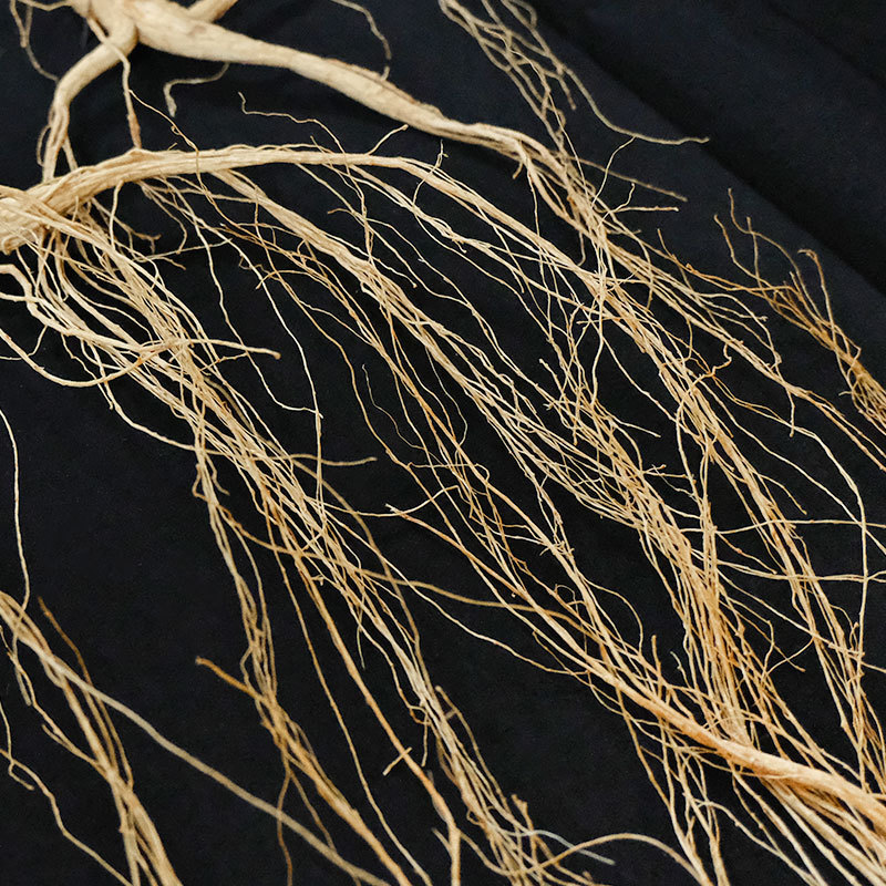 Changbai Mountain Forest-Grown Ginseng Sun-Dried Whole Roots 6 Roots Gift Box for Soup and Wine - Image 4
