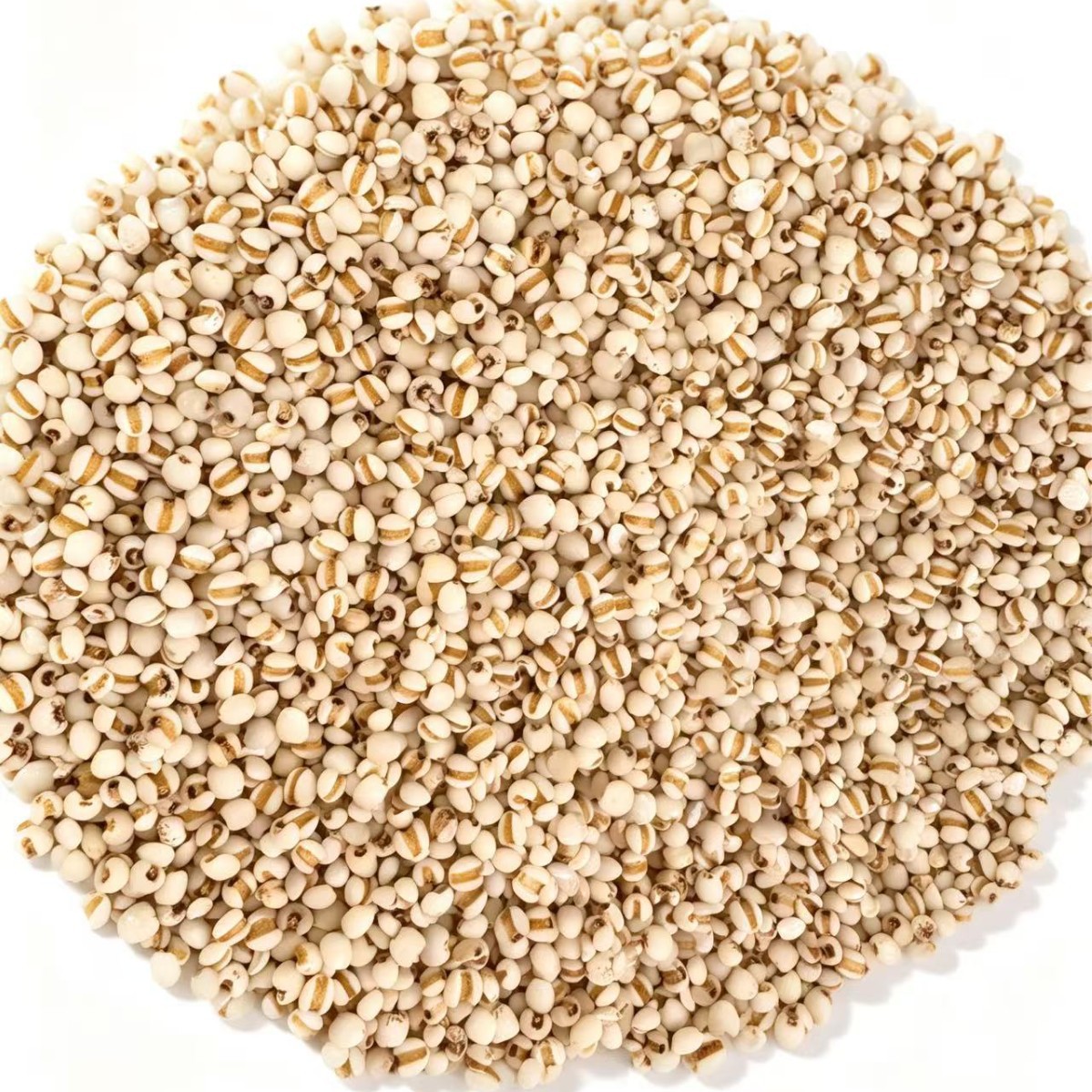 Coix Seed Yi Yi Ren 1000g Dried Job's Tears Whole Grain for Cooking and Herbal Soup - Image 5
