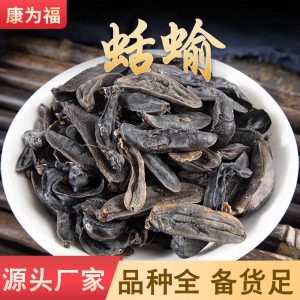 Kuòyú Dried Slug (Limax/Limacus) — Traditional Chinese Herbal Material, Whole Dried Form
