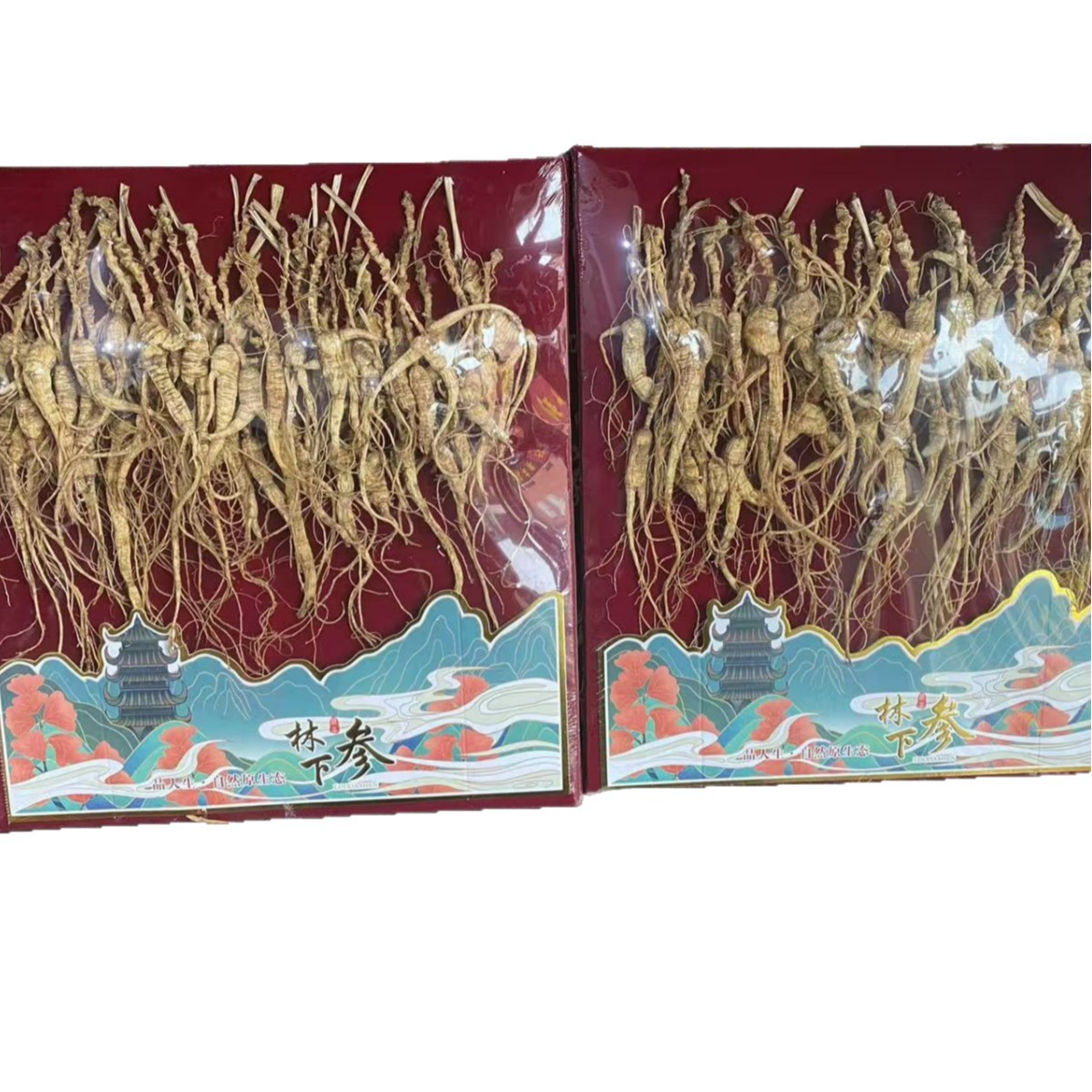 Dried Forest Ginseng Root Slices 50g Sun Dried Jilin Ginseng for Cooking and Soup - Image 5