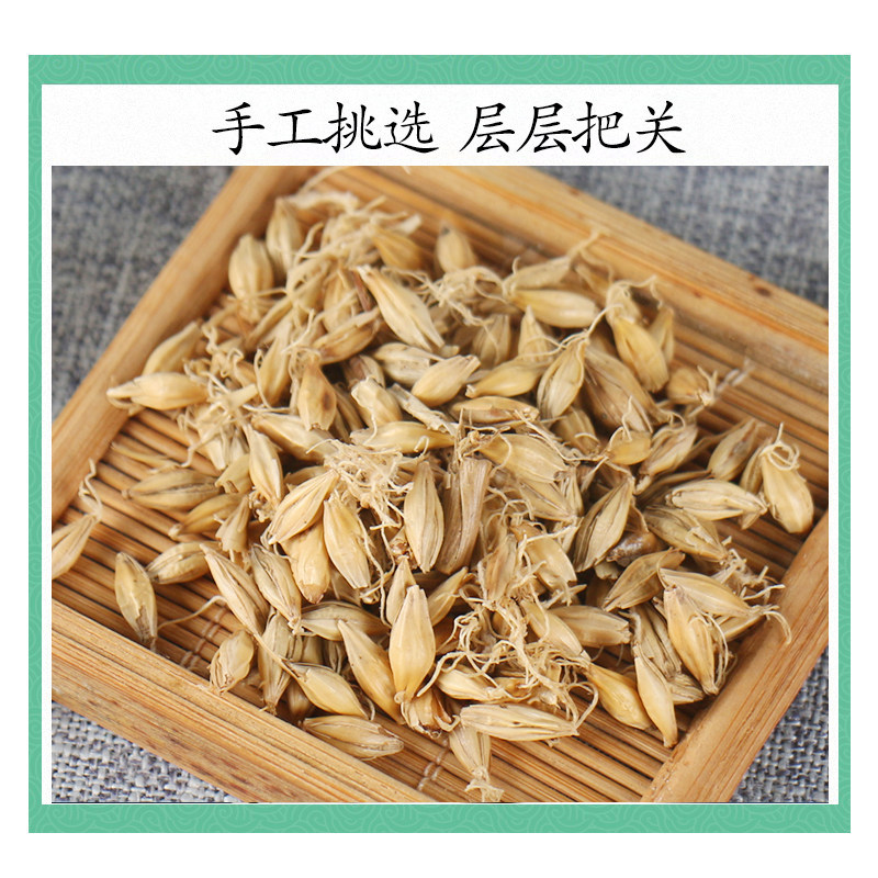 Raw Malted Barley Sprout Mai Ya 500g Dried Hordeum Vulgare for TCM Digestive Support and Herbal Decoction - Image 3