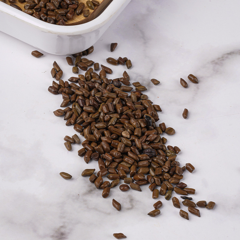 Roasted Cassia Seed Tea (Semen Cassiae) — Jue Ming Zi Herbal Tea, 290g Jar - Image 4