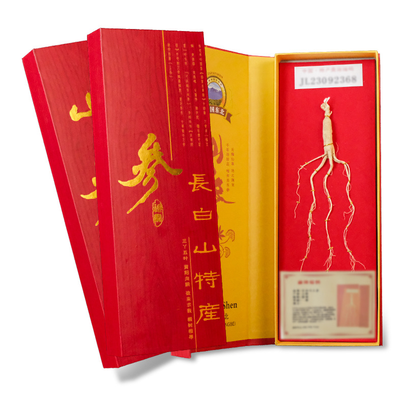 Changbai Mountain Aged Ginseng Gift Box 40cm Sun-Dried Whole Root 8-10g with Handbag - Image 5