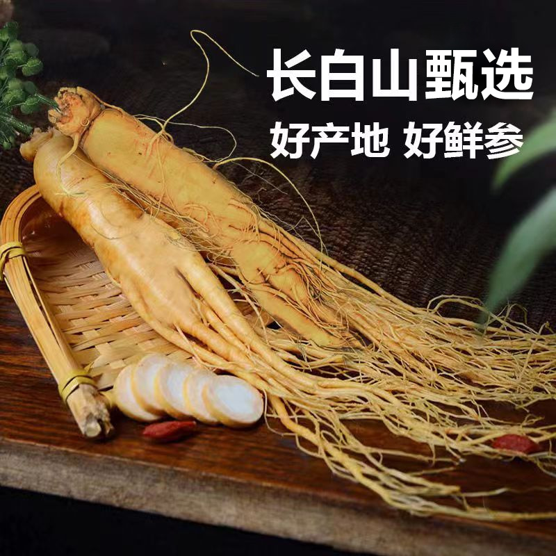 Fresh Changbai Mountain Ginseng Ren Shen Whole Root for Tea Wine and Cooking 350g - Image 5