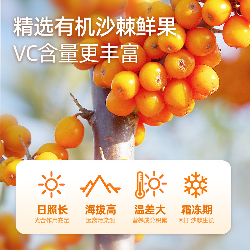Organic Sea Buckthorn Juice Puree Fresh Pressed 500ml 10 Bottles Ningxia - Image 2