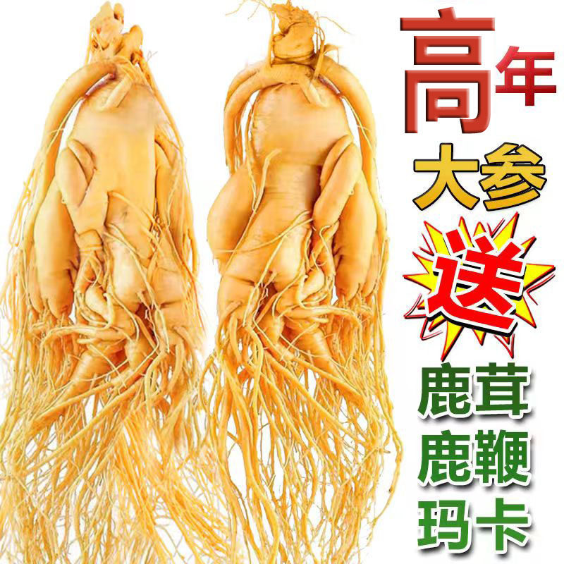 Fresh Changbai Mountain Ginseng Ren Shen Whole Root for Tea Wine and Cooking 350g - Image 2