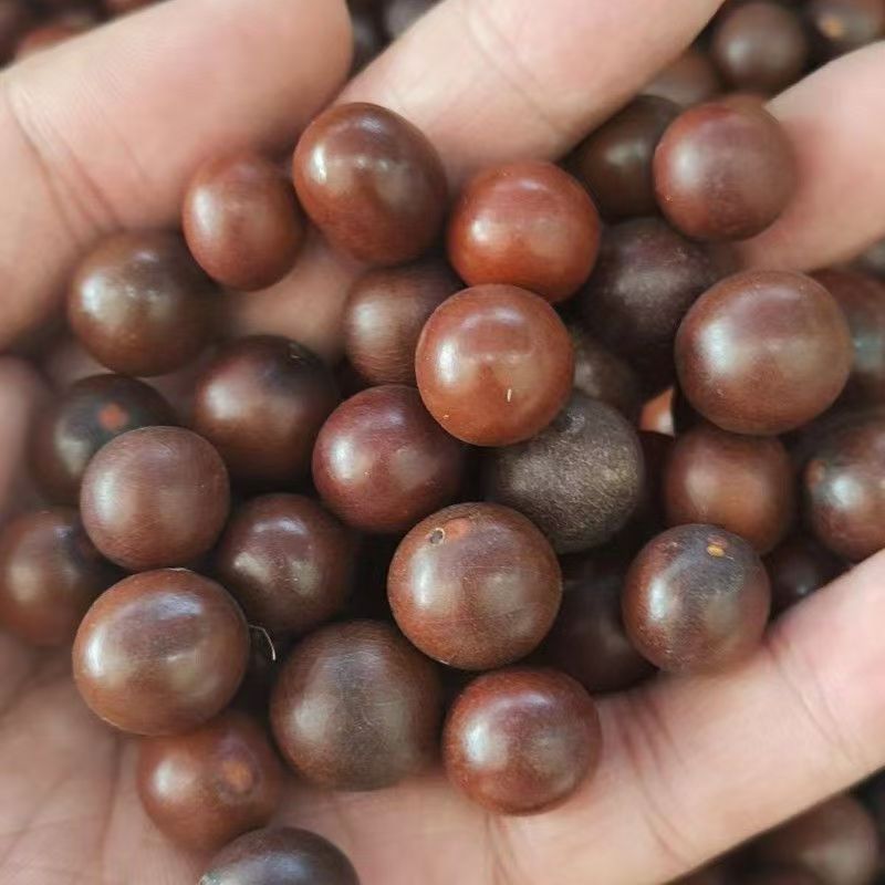 Sun Fruit (Tai Yang Guo) — Dried Food Herb for Cooking & Herbal Soups, 500g - Image 3