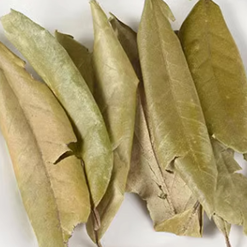 Hu Tui Zi Ye (Elaeagnus pungens Leaf) — Dried TCM Herb Leaf, 500g - Image 3