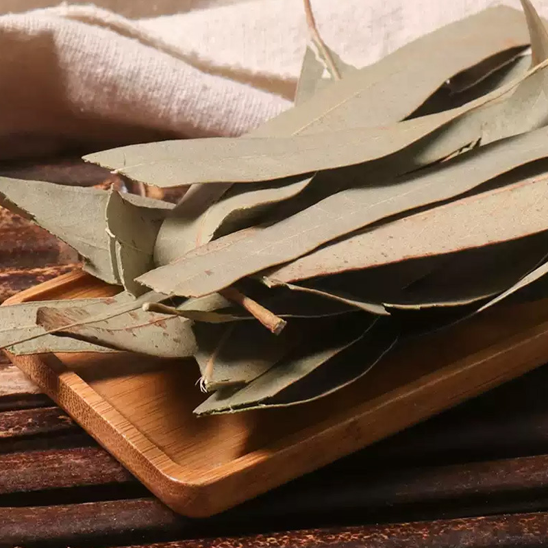 Eucalyptus Leaves (Eucalyptus globulus) — Dried Herbal Leaf for Tea, Steam & Soak - Image 4