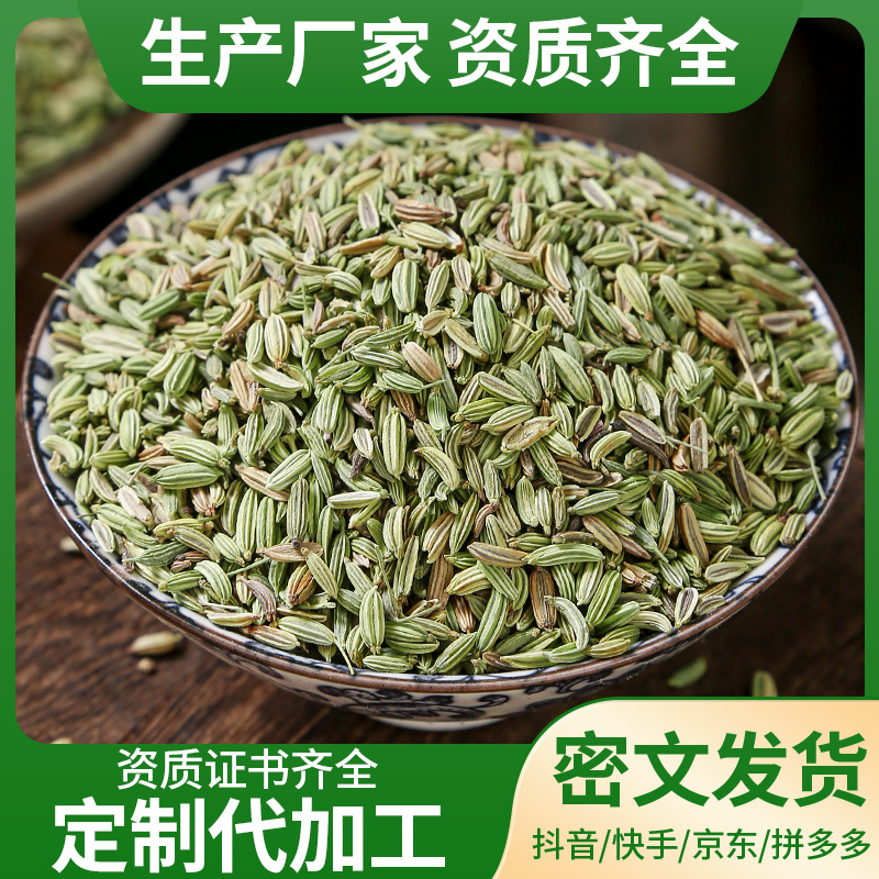Fennel Seeds (Foeniculum vulgare) — Dried Food-Herb Spice for Culinary & Wellness Use - Image 2
