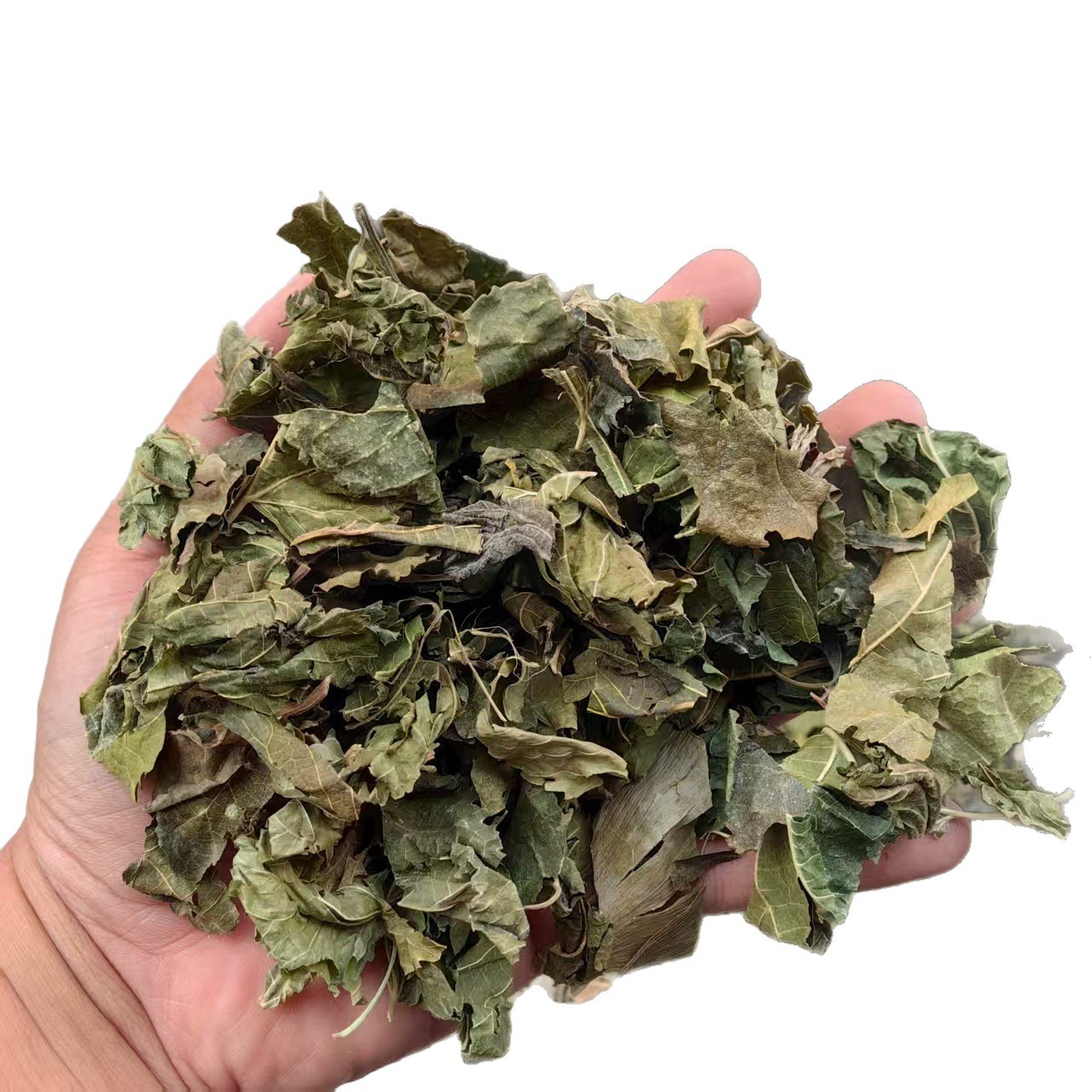 Dried Mulberry Leaves 500g Sang Ye Natural Sun Dried Herbal Tea Leaves - Image 4