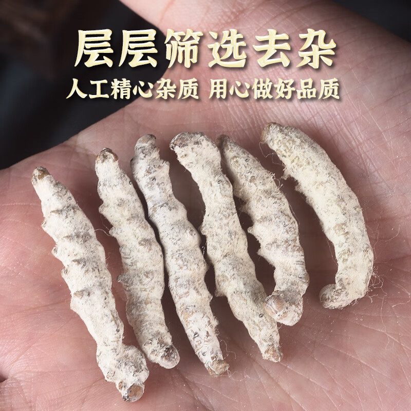 White Silkworm Jiang Can Powder 500g Dried Bombyx Batryticatus Traditional Chinese Herb - Image 2