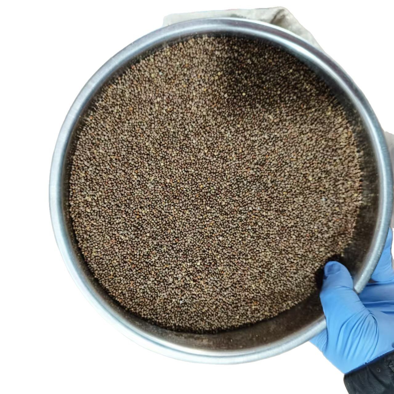 Northeast Fresh Perilla Seeds Zi Su Zi Edible Perilla Seed 500g Direct from Jilin - Image 5
